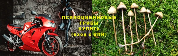 соль курить ск Алзамай