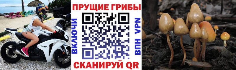 МЕГА зеркало  Перевоз  Псилоцибиновые грибы прущие грибы  наркотики 